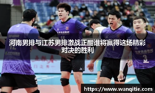 河南男排与江苏男排激战正酣谁将赢得这场精彩对决的胜利